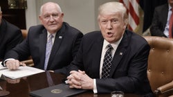 Los primeros cien días de Trump parecen cien