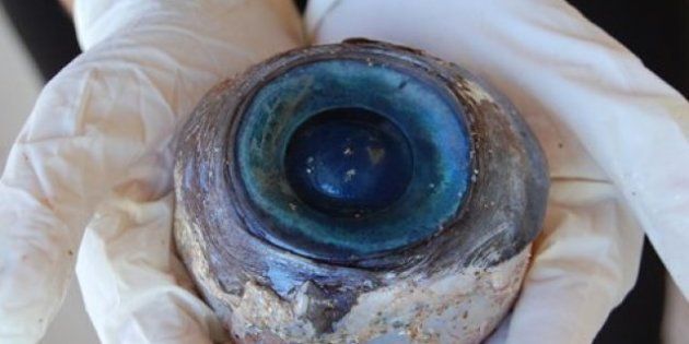 Resuelto el misterio del ojo gigante en una playa de Florida: pertenecía a un pez espada