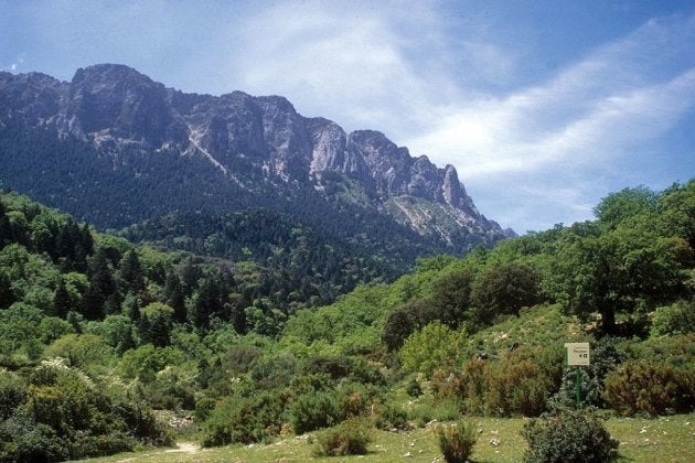 Vista general de la Sierra de Grazalema.