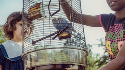 Maude Schuyler Clay: la fotógrafa que retrató su historia a través del