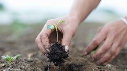 La investigación multidisciplinar en materia de alimentación sostenible: una necesidad