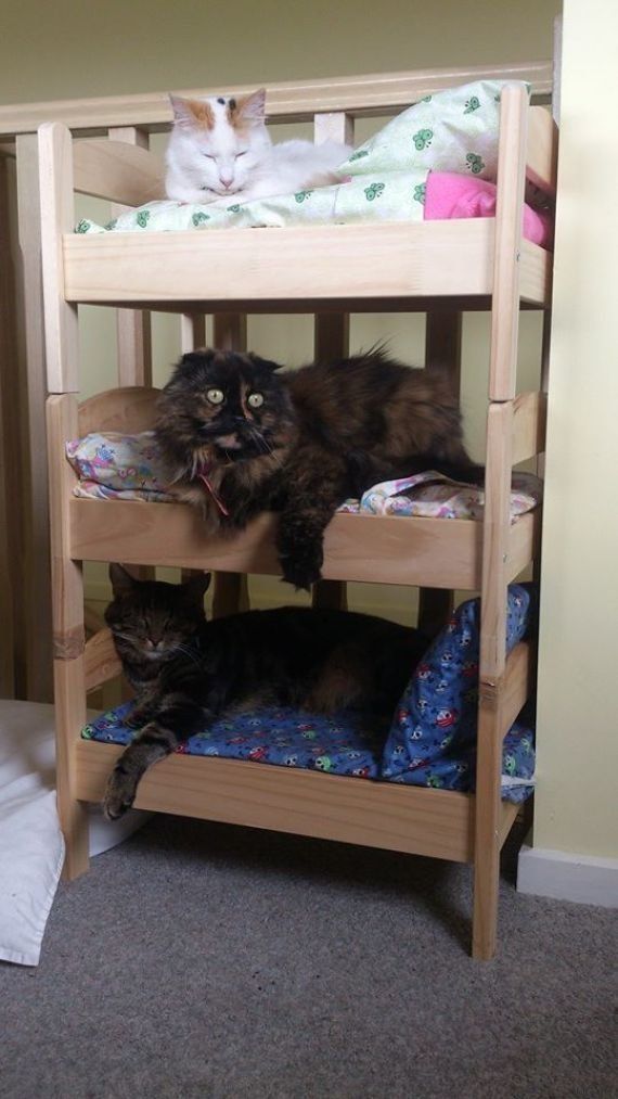 El 'IKEA-hack' más loco: camas de juguete para que los gatos duerman