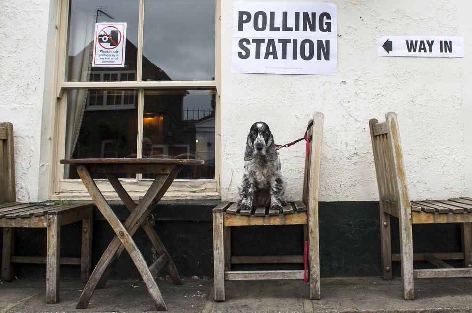 Un perro aguarda a su dueño a las puertas de un colegio electoral montado en Anglesea Arms, en el centro de Londres.