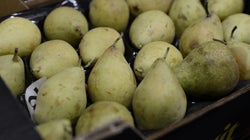 Estas peras dan mucho más de sí de lo que te