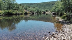 Las Reservas Naturales Fluviales, una figura eficaz de conservación para nuestros