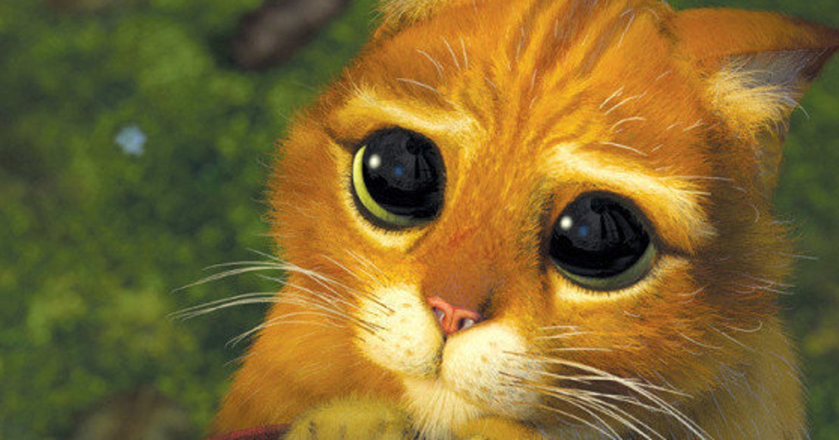 El gato de Shrek existe en la vida real | El HuffPost