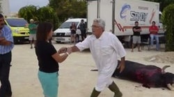 Agreden a una mujer que grababa a un toro muerto tras una