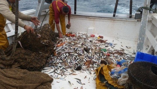 Un día con los pescadores que ayudan a reciclar los residuos del