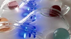 ¿Perlas que estallan en la boca? Sí, y son