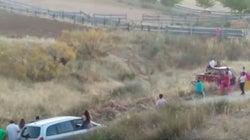 Ecologistas en Acción denuncia la muerte a tiros de una vaca en