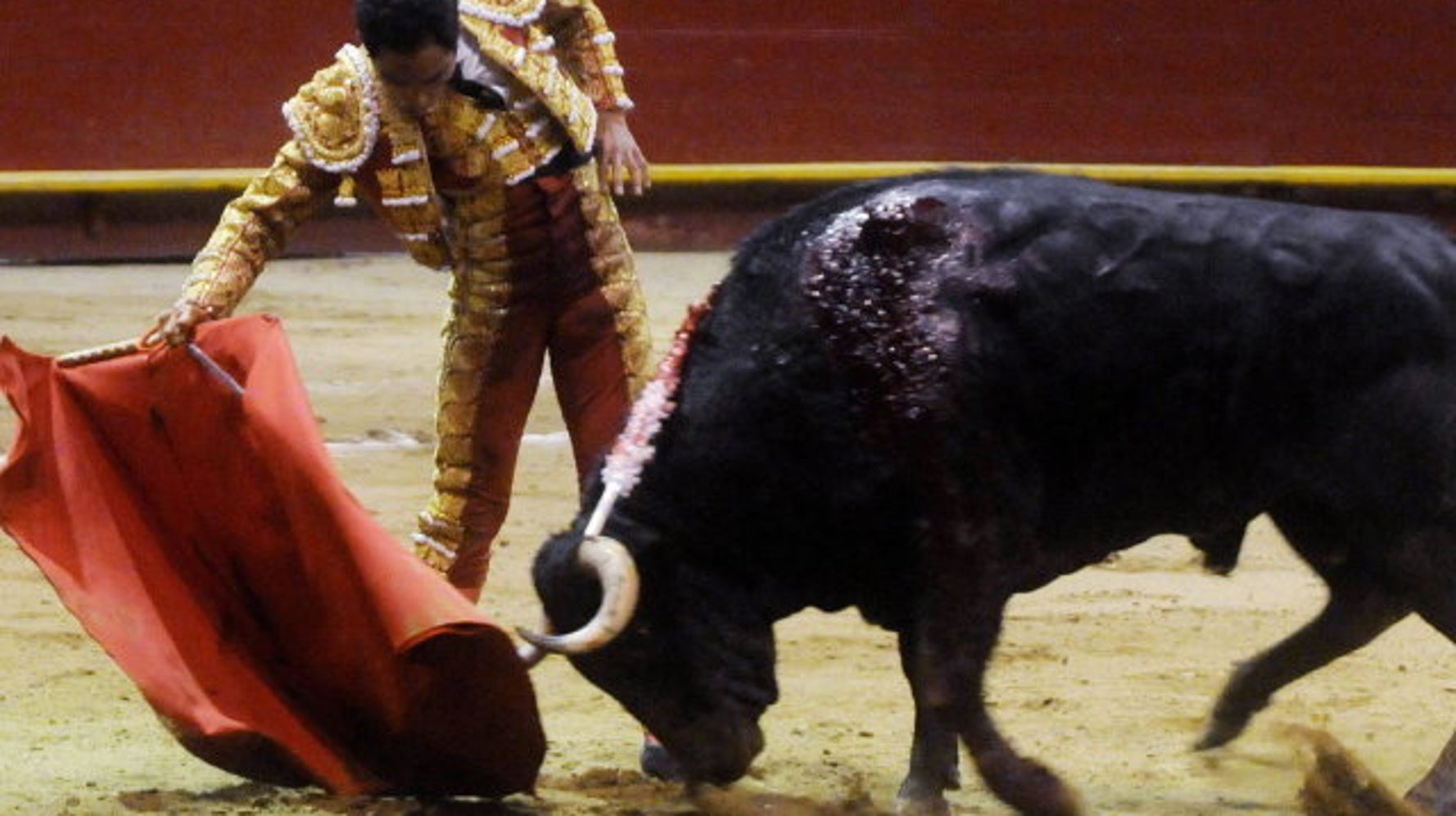 El Congreso pone en marcha la declaración de los toros como bien ...