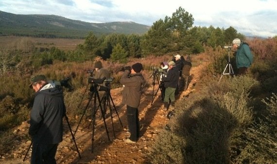 Manifestación por el lobo