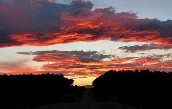 Manifestación por el lobo