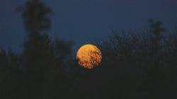 ¿Realmente se duerme peor las noches de luna