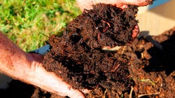 Compostaje casero: cómo hacerlo y cómo