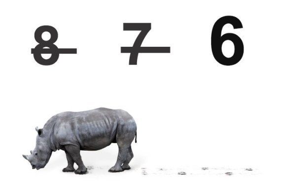Extinción del rinoceronte blanco: solo quedan seis en el