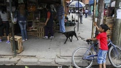 Cono sur: hora de crear más oportunidades en áreas de