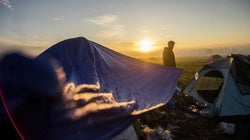 ¿Qué enfermedades (no) nos traen los