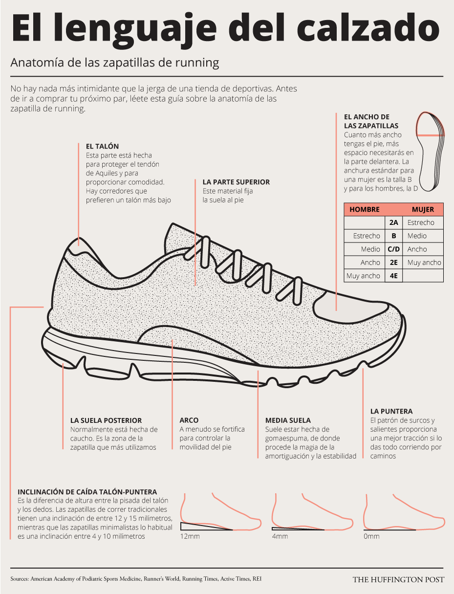 Todo lo que querías saber sobre las zapatillas de 'running' en una simple  gráfica (INFOGRAFÍA) | El HuffPost Tendencias