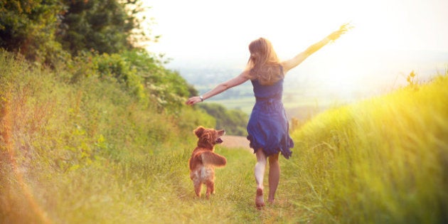 Young woman with blonde hair running down grass track alongside barley crop with golden retriever dog. Summer, Dorset, UK