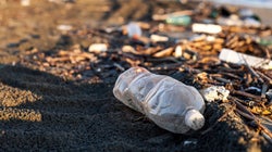 ¿Cuánto tarda en descomponerse una