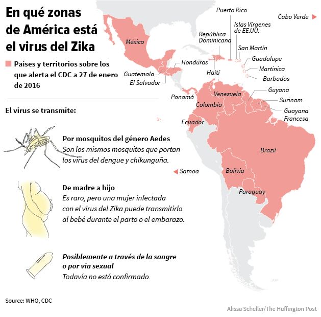 Las embarazadas que viajen a países con zika deberán hacerse análisis si tienen