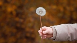 10 cosas que aprendí con el