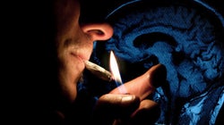 Así actúa tu cerebro frente a las drogas