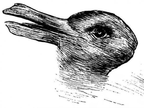 Résultat de recherche d'images pour 'hypnotique gif lapin ou canard'