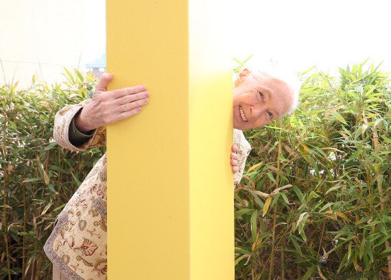 Entrevista con la primatóloga Jane Goodall: 