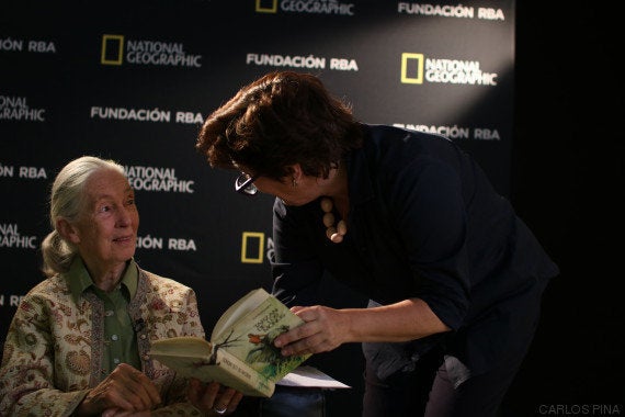 Entrevista con la primatóloga Jane Goodall: 
