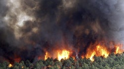 El viento complica un incendio en Robledo de Chavela