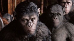 El crepúsculo de las