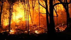 Lo que el fuego se llevó: estas son las consecuencias de un