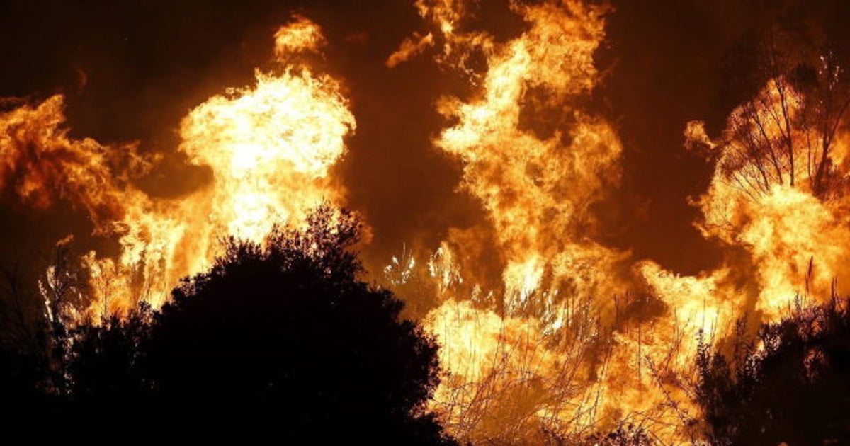 Incendio en Málaga: un muerto y miles de hectáreas calcinadas (VÍDEO ...
