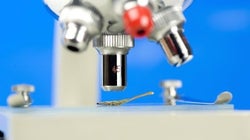 La ciencia española herida de