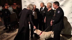 Una noche cinco estrellas para homenajear a los K-9, los perros policía de Nueva