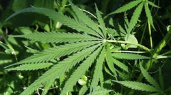 10 motivos por los que no es 'cool' fumar