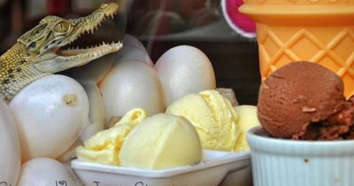 Sabores De Helados Raros Raros Raros Huevos De Cocodrilo Tinta De Calamar Leche Materna El Huffpost