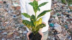 Los ocho beneficios de las sociedades que