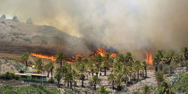 Los dos incendios de La Gomera estables tras el cambio en el tiempo