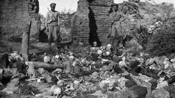 La verdadera razón que ha llevado a Alemania a reconocer el genocidio