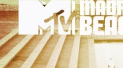 Batalla campal en un festival de música en Madrid: 11