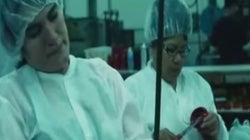 Así es una fabrica de juguetes sexuales por