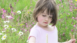 La pequeña pintora con