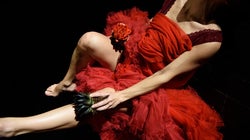 El festival 'Ellas crean' da visibilidad a los talentos femeninos del mundo