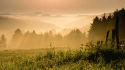 Comienza la primera recogida colectiva de basura para limpiar la