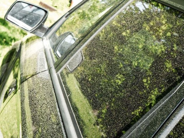 花粉の大量飛散で自動車にもダメージ 付着を防ぐ3つの方法とは ハフポスト