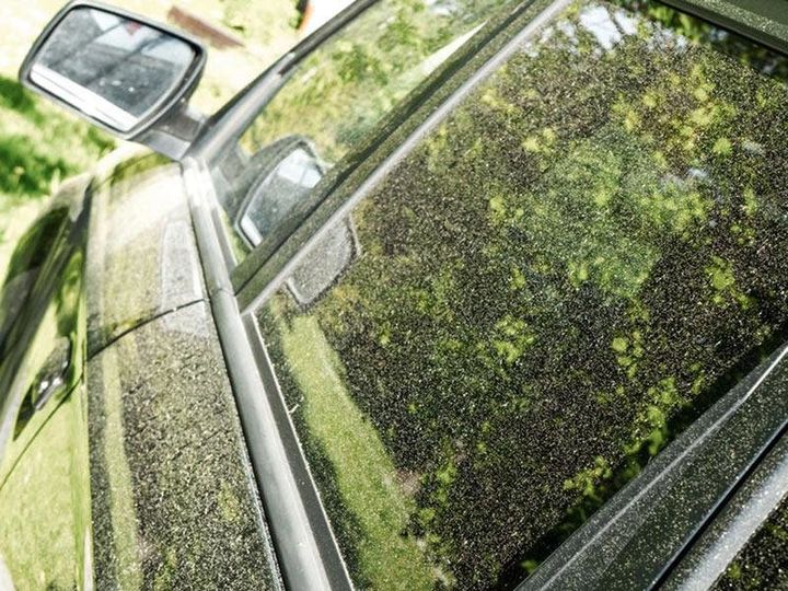 花粉の付着した車のボディのイメージ画像