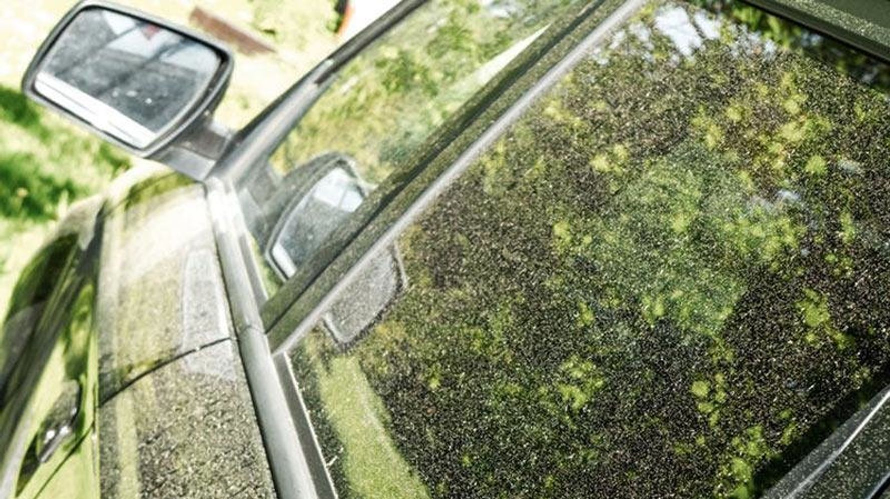 花粉の大量飛散で自動車にもダメージ 付着を防ぐ3つの方法とは ハフポスト